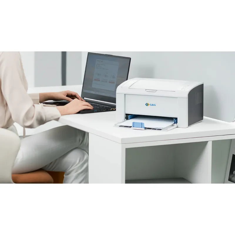 G&G P2022W PRINTER